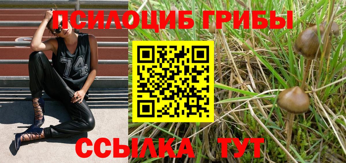 Кстово  Галлюциногенные грибы MAGIC MUSHROOMS  Галлюциногенные грибы MAGIC MUSHROOMS  Вход с VPN 